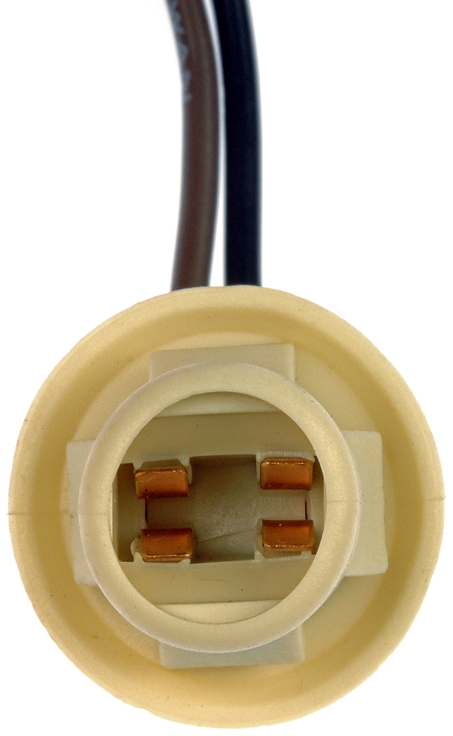 Dorman 85861 License/Parking/Tail/Side Marker Light Socket - image 1