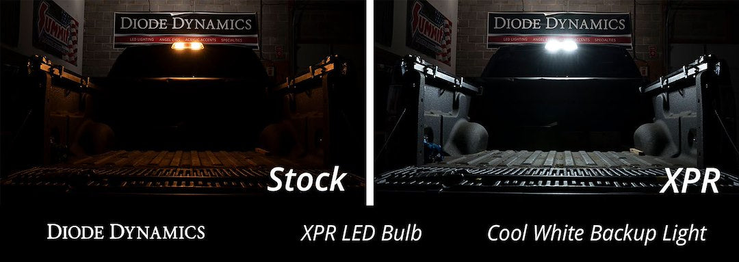 Diode Dynamics Dd0394p 921 XPR Cool-White LED Backup Bulbs