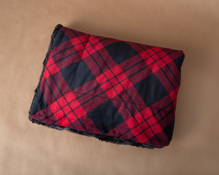 Camp Casual Cc-008bp Picnic Blanket - image 2
