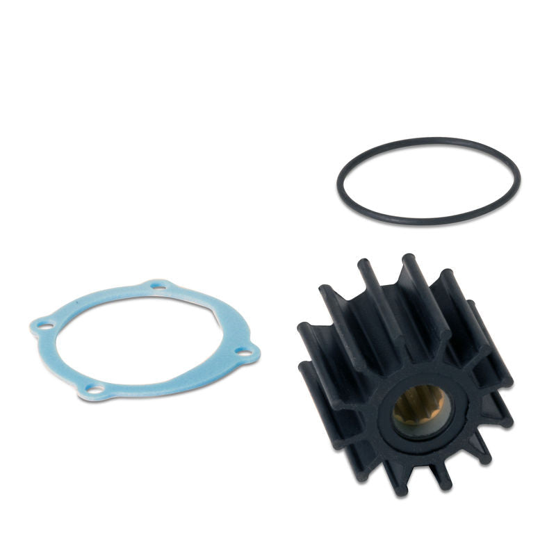 Sierra Marine 18-3306 Water Pump Impeller - image 3