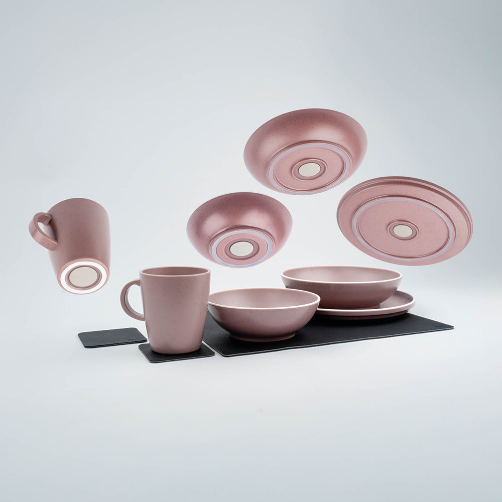 Silwy Magnetic Sybr-Kgs-11-R Dish Set - image 1