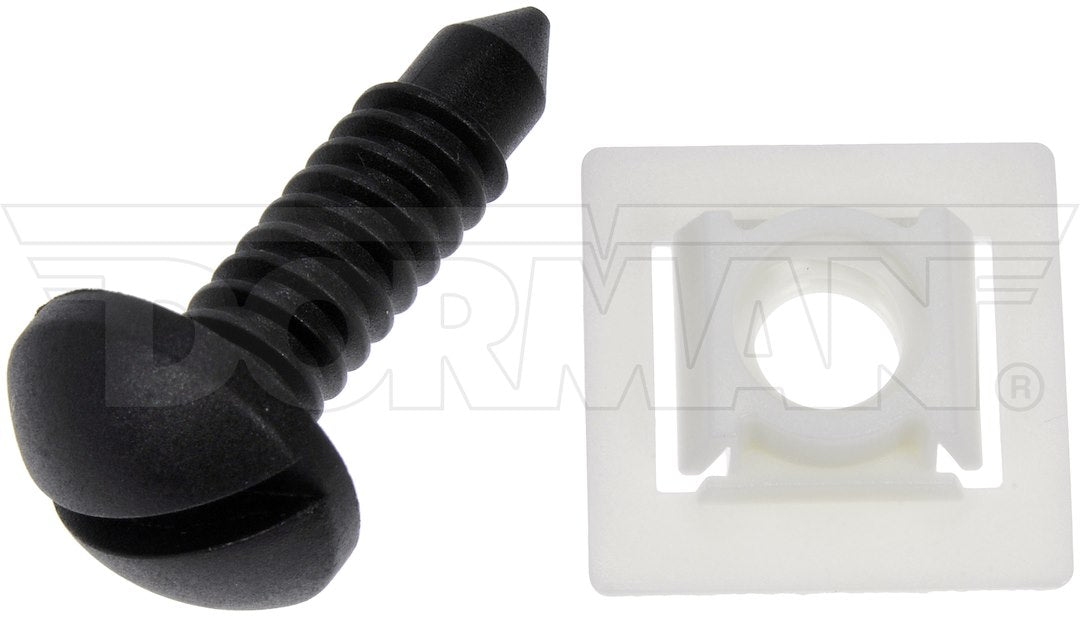 Dorman OE Solutions 961-380d License Plate Nut and Screw Pack - image 1