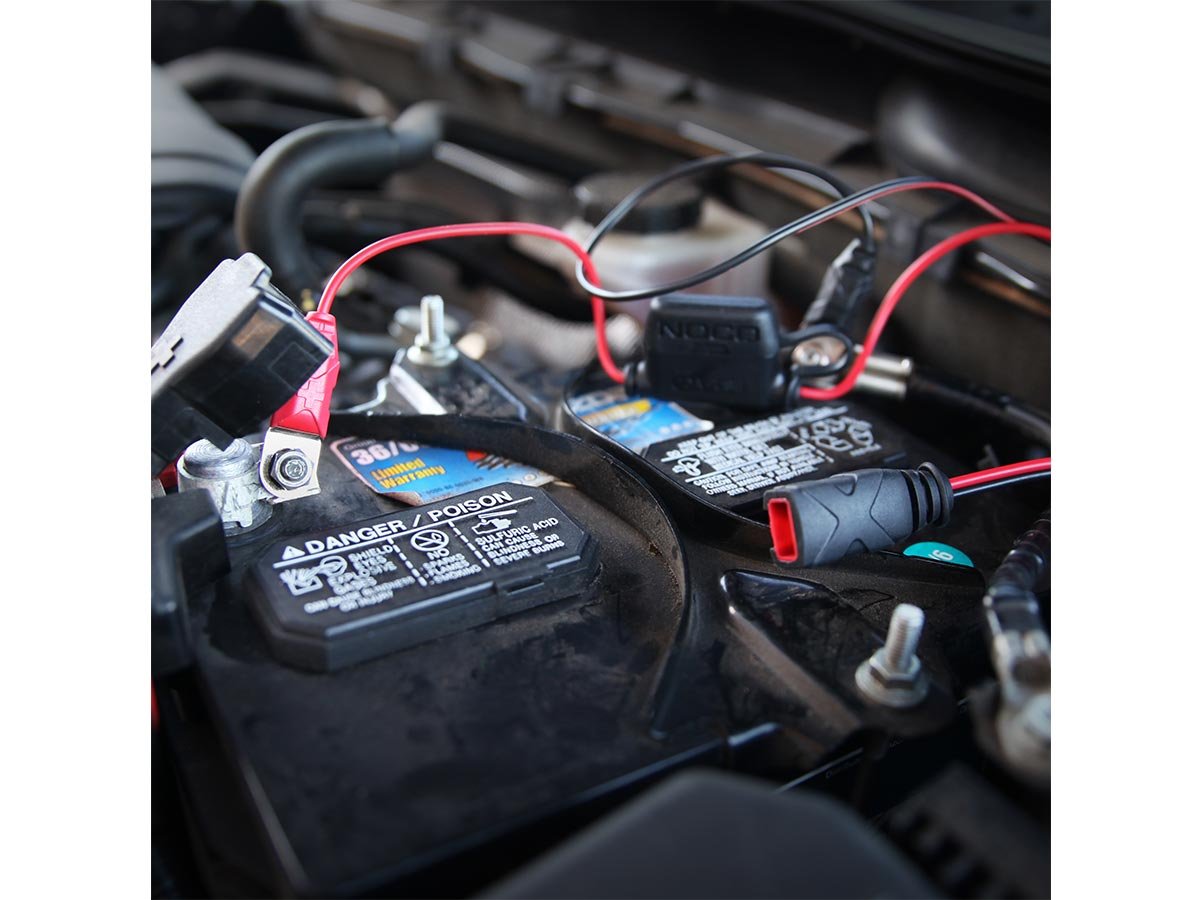 NOCO GC008 X-Connect XL Eyelet Battery Charger Lead — view 2